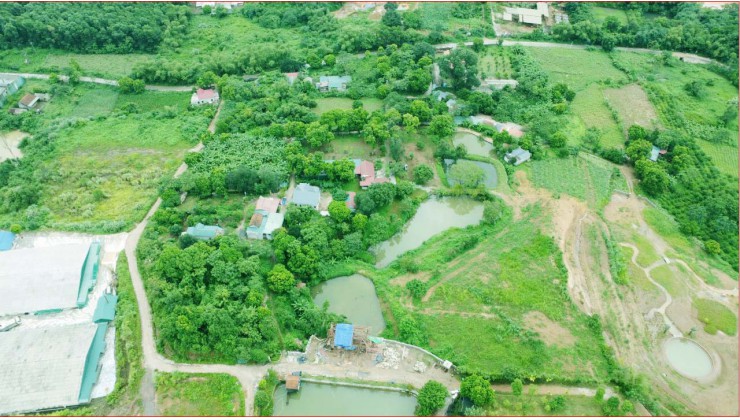 Chính chủ cần bán bất động sảnHòa Bình diện tích 1.4ha bám suối thích hợp xây homestay trang trại nghỉ dưỡng giá 1 triệu/m